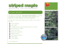 stripedmaple.com