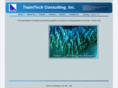 teamtechcorp.com