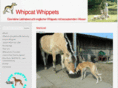 whipcat.de