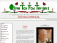 olivetoyfoxterriers.com