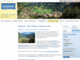 dorfgastein.com