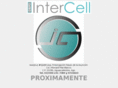 grupointercell.com