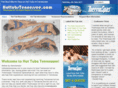 hottubstennessee.com