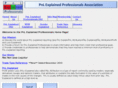 pnlexplained.com