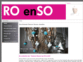 roenso.com