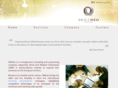skillneo.com