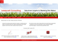 intelecraftconsulting.com