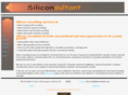 siliconsultant.com