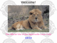 taylorsvillelionsclub.org