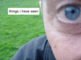 thingsihaveseen.com