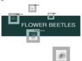 flower-beetles.com