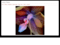 janicetieken.com