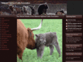 midwesthighlandcattle.com