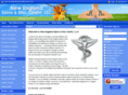 newenglandspineanddisccenter.com