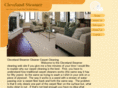 clevelandsteamercleaner.com