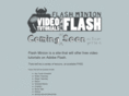 flashminion.com