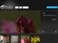 ihportfolio.org