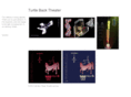 turtlebacktheater.org