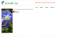 vruddhiinc.com