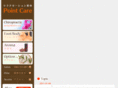 point-care.com