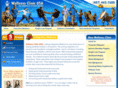 wellnessclinicusa.com