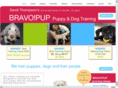 bravopup.com
