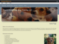 danisgooddog.com