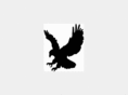 eagleprofessionalservices.com