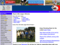 waynelittleleague.org