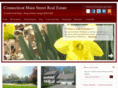 ctmainstreet.com