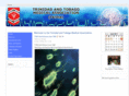 tntmedical.com