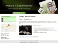 triplelconsulting.net