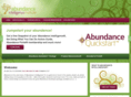 abundanceintelligence.com