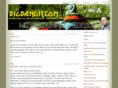 bigbandit.com