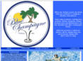 bluechampagnepools.com