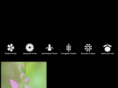 idahowildflowers.org