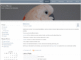 parrotwriter.com