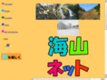 umiyama-net.com