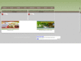 aceitedeoliva.com