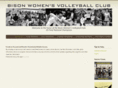 bisonsvc.com