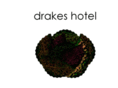 drakeshotelmusic.com