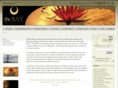 luxury-drug-rehab.com