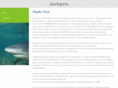 sharksperu.com