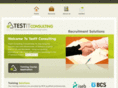testitconsulting.com