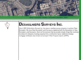dsisurveys.com