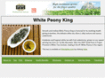whitepeonyking.com