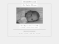 abramsdrive.com