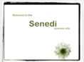 senedi-wip.com