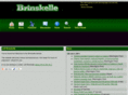 brinskelle.com
