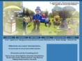 carnival-amusements.com